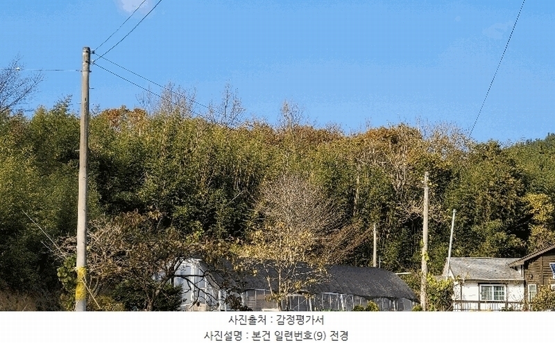 2022타경56591 충청남도 태안군 소원면 영전리 127-3 임야 경매 이미지