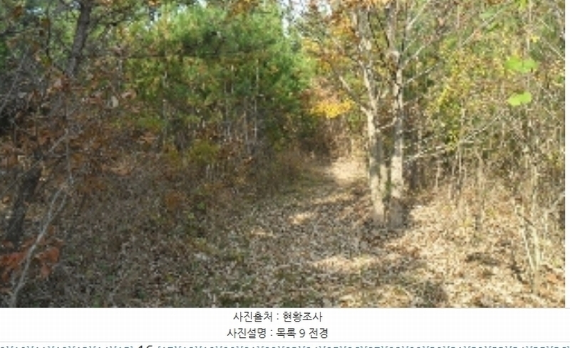 2022타경56591 충청남도 태안군 소원면 영전리 127-3 임야 경매 이미지