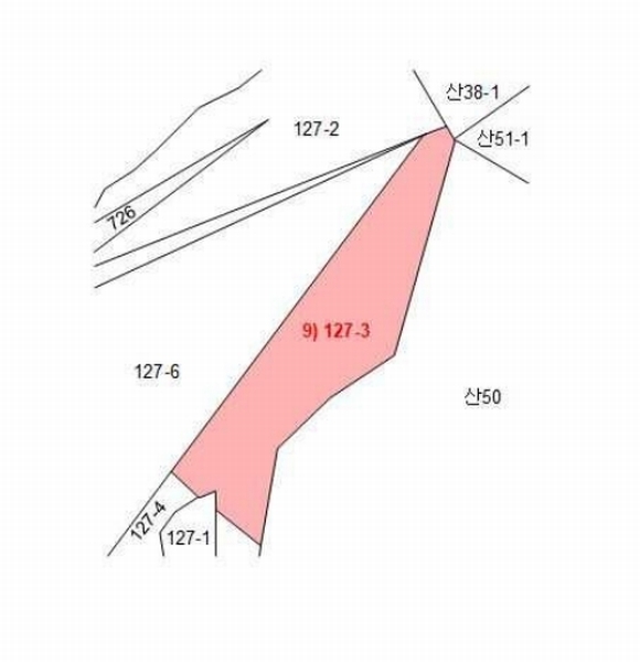 2022타경56591 충청남도 태안군 소원면 영전리 127-3 임야 경매 이미지
