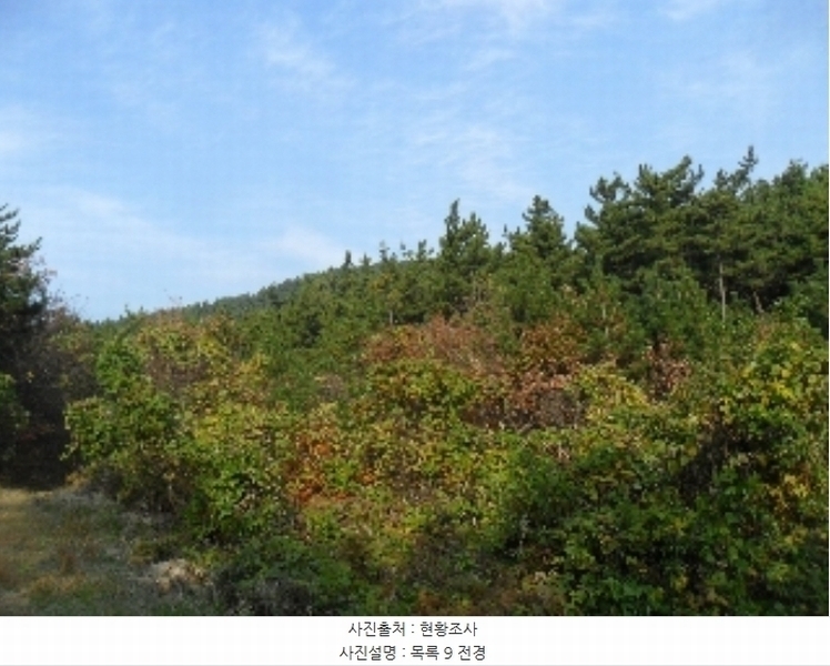 2022타경56591 충청남도 태안군 소원면 영전리 127-3 임야 경매 이미지