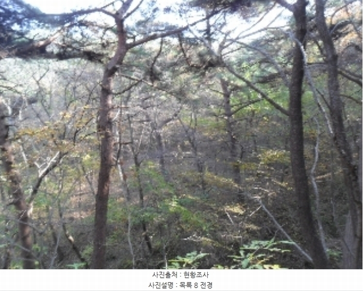 2022타경56591 충청남도 태안군 이원면 포지리 산75 임야 경매 이미지