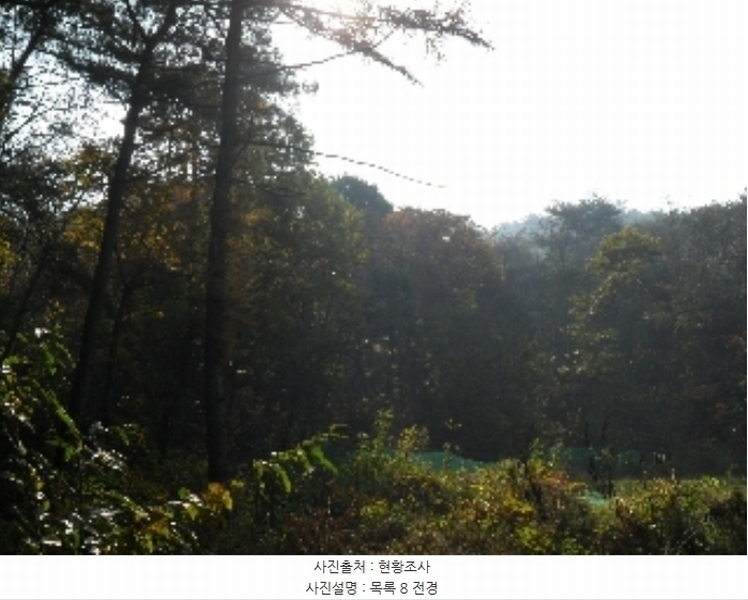 2022타경56591 충청남도 태안군 이원면 포지리 산75 임야 경매 이미지