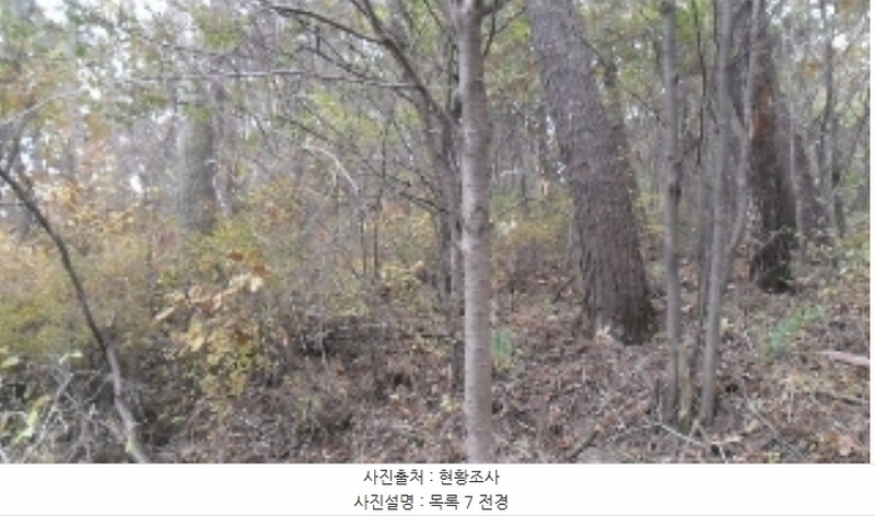 2022타경56591 충청남도 태안군 이원면 내리 산205-1 임야 경매 이미지