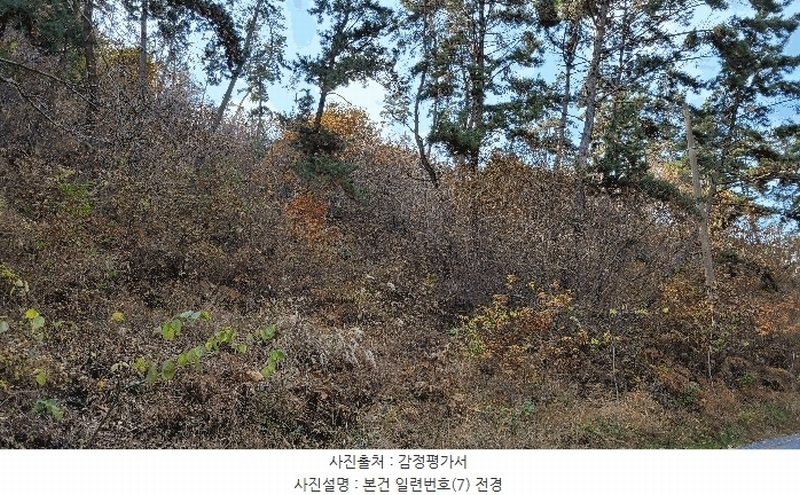 2022타경56591 충청남도 태안군 이원면 내리 산205-1 임야 경매 이미지