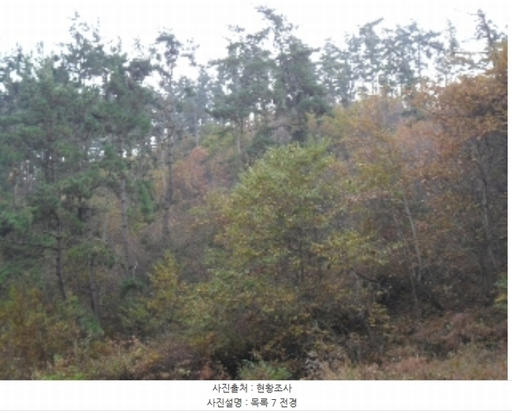 2022타경56591 충청남도 태안군 이원면 내리 산205-1 임야 경매 이미지