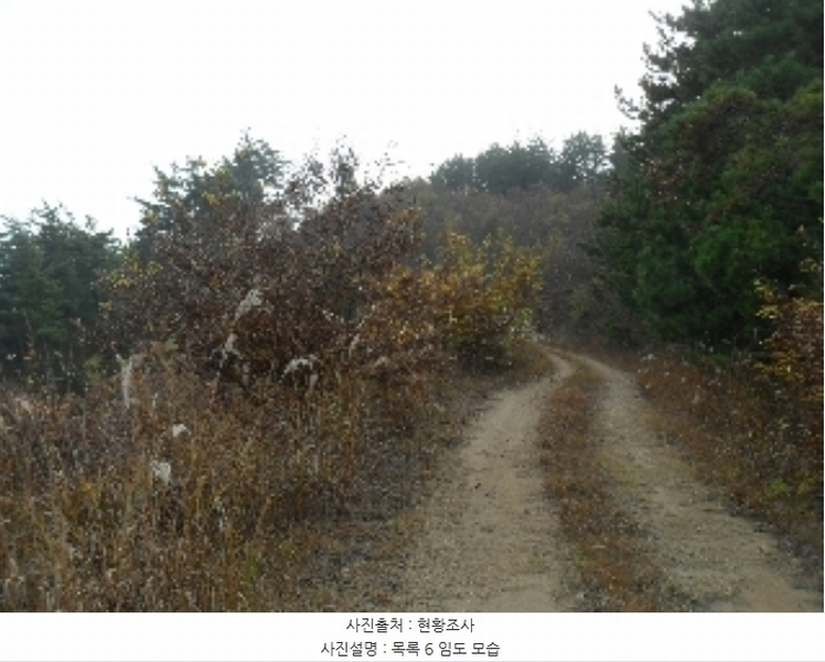 2022타경56591 충청남도 태안군 이원면 당산리 산66-1 임야 경매 이미지
