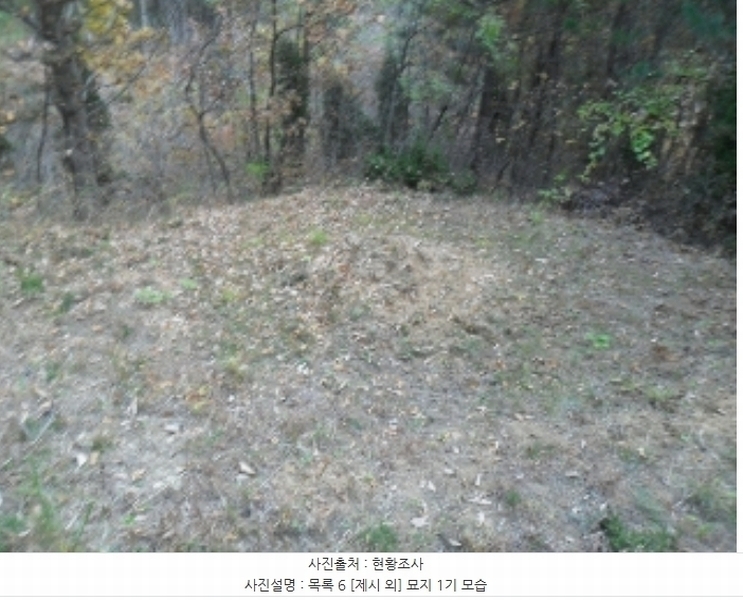 2022타경56591 충청남도 태안군 이원면 당산리 산66-1 임야 경매 이미지
