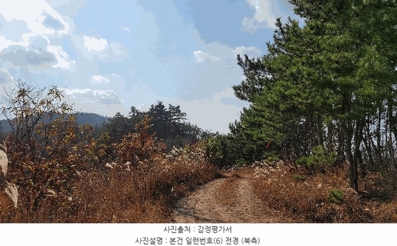 2022타경56591 충청남도 태안군 이원면 당산리 산66-1 임야 경매 이미지
