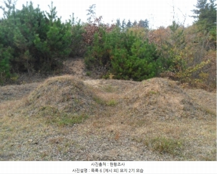 2022타경56591 충청남도 태안군 이원면 당산리 산66-1 임야 경매 이미지