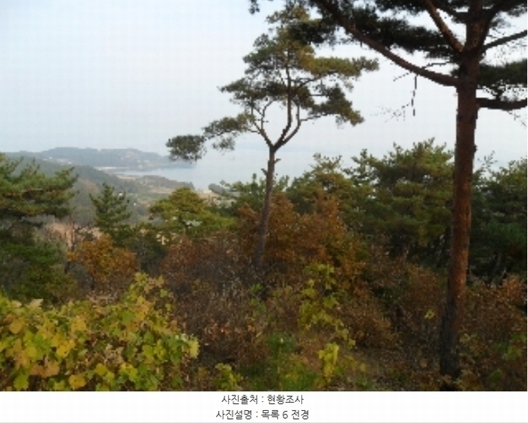 2022타경56591 충청남도 태안군 이원면 당산리 산66-1 임야 경매 이미지