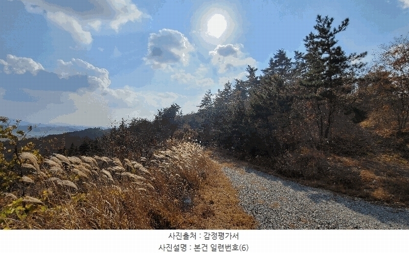 2022타경56591 충청남도 태안군 이원면 당산리 산66-1 임야 경매 이미지