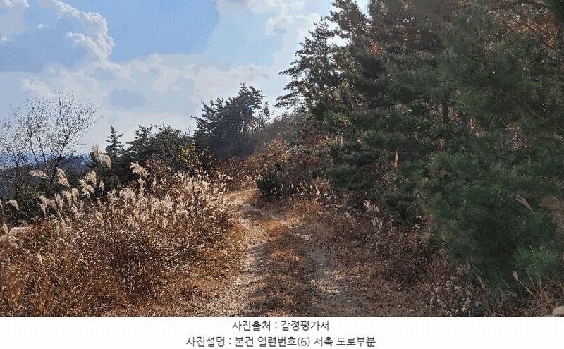 2022타경56591 충청남도 태안군 이원면 당산리 산66-1 임야 경매 이미지