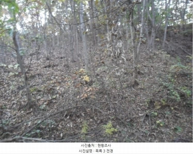 2022타경56591 충청남도 태안군 근흥면 두야리 403-8 임야 경매 이미지