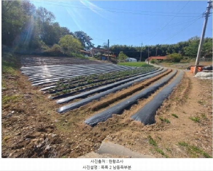 2025타경51229 충청남도 당진시 송산면 당산리 202 농지 경매 이미지