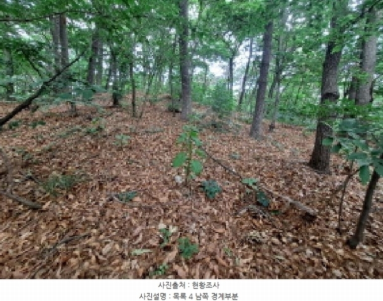 2025타경51360 충청남도 당진시 송악읍 금곡리 산73-2 임야 경매 이미지