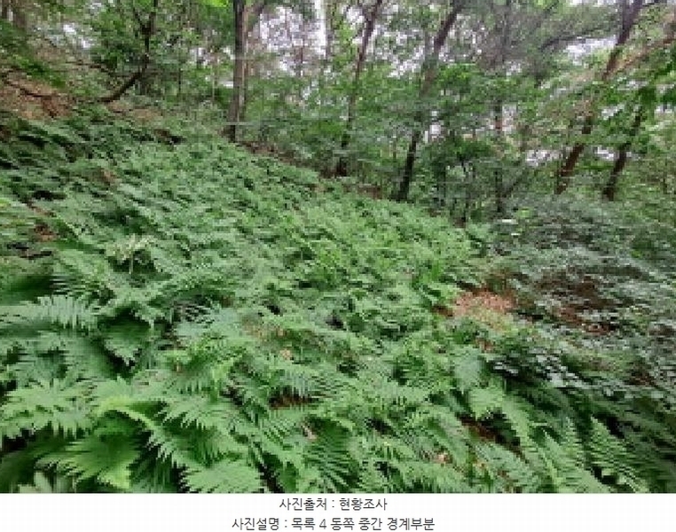 2025타경51360 충청남도 당진시 송악읍 금곡리 산73-2 임야 경매 이미지