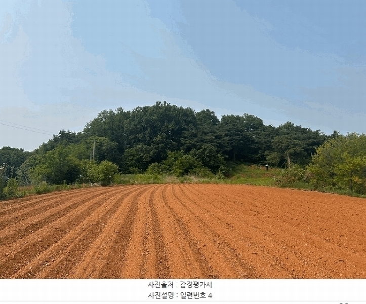 2025타경51360 충청남도 당진시 송악읍 금곡리 산73-2 임야 경매 이미지