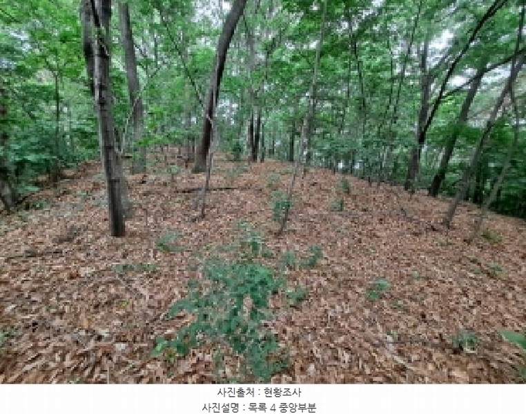 2025타경51360 충청남도 당진시 송악읍 금곡리 산73-2 임야 경매 이미지