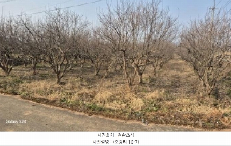 2024타경9226 전라남도 나주시 금천면 오강리 16-7 과수원 경매 이미지