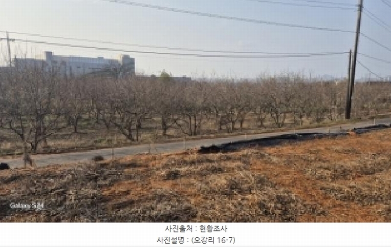 2024타경9226 전라남도 나주시 금천면 오강리 16-7 과수원 경매 이미지