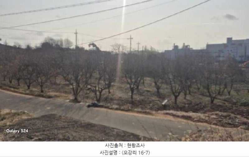 2024타경9226 전라남도 나주시 금천면 오강리 16-7 과수원 경매 이미지