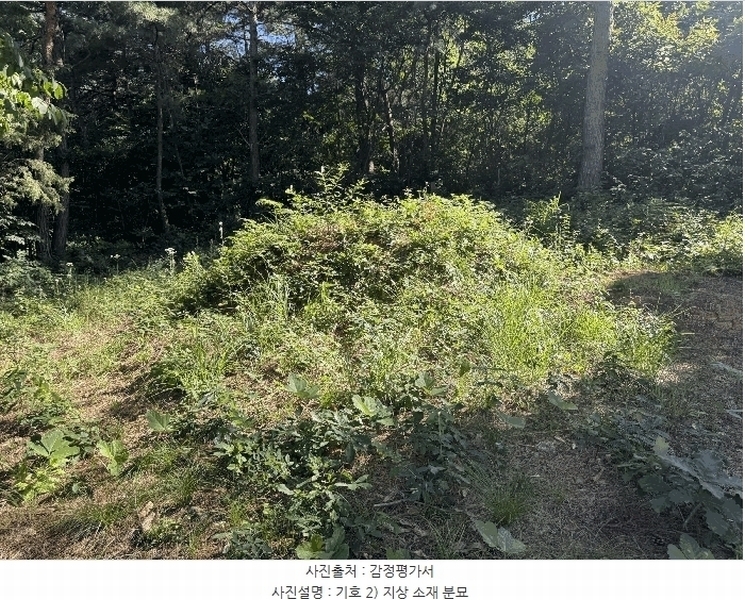 2025타경33461 전라남도 나주시 봉황면 운곡리 산114-3 임야 경매 이미지