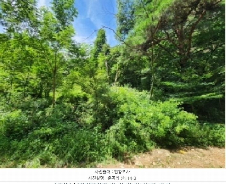 2025타경33461 전라남도 나주시 봉황면 운곡리 산114-3 임야 경매 이미지