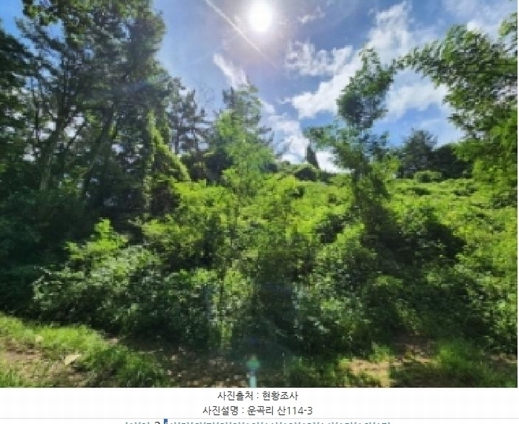 2025타경33461 전라남도 나주시 봉황면 운곡리 산114-3 임야 경매 이미지
