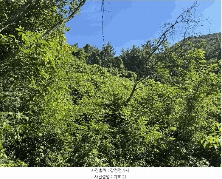 2025타경33461 전라남도 나주시 봉황면 운곡리 산114-3 임야 경매 이미지