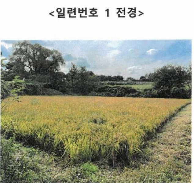2024타경6811 경기도 이천시 설성면 행죽리 177-4 농지 경매 이미지