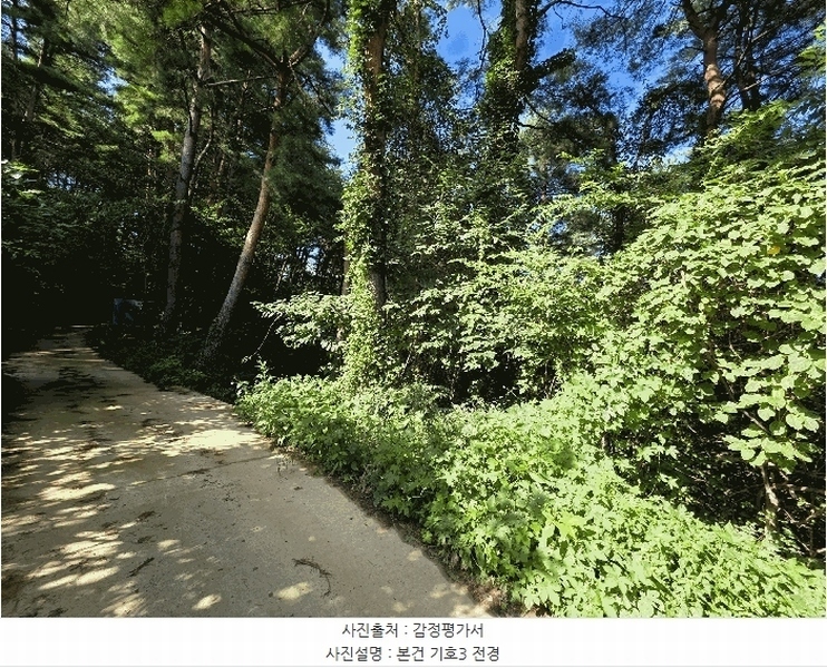 2025타경277 강원특별자치도 고성군 거진읍 화포리 산147-1 임야 경매 이미지