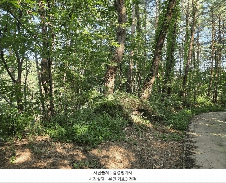 2025타경277 강원특별자치도 고성군 거진읍 화포리 산147-1 임야 경매 이미지