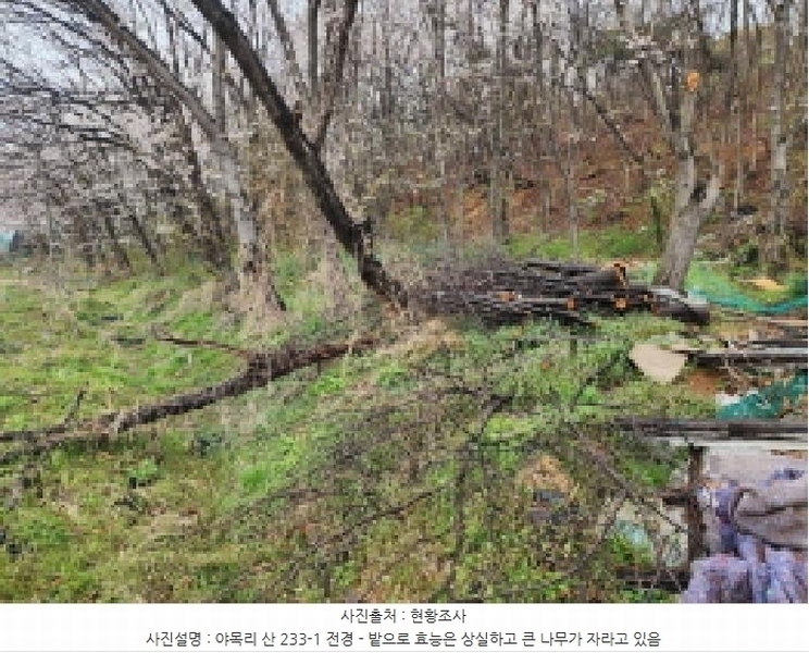2025타경55397 경기도 화성시 매송면 야목리 233-1 농지 경매 이미지