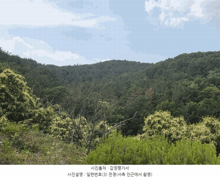 2025타경31322 대구광역시 달성군 하빈면 기곡리 산78-2 임야 경매 이미지