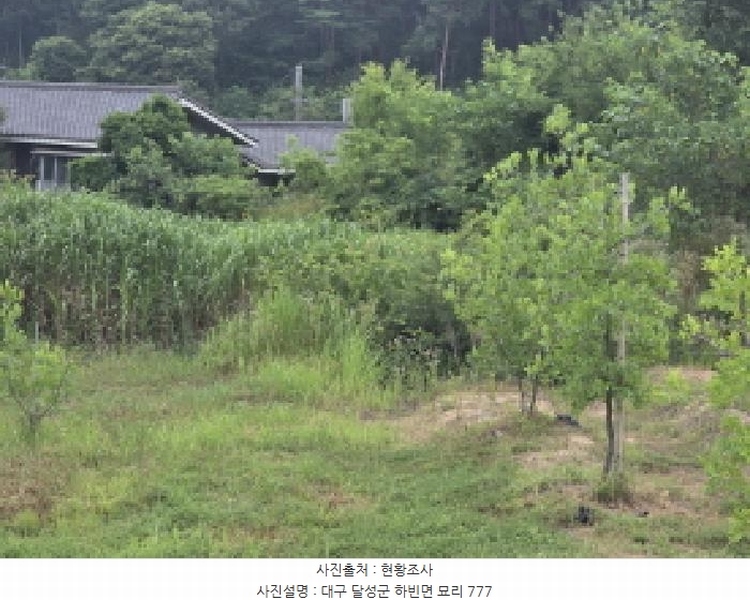2025타경31322 대구광역시 달성군 하빈면 묘리 777 대지 경매 이미지