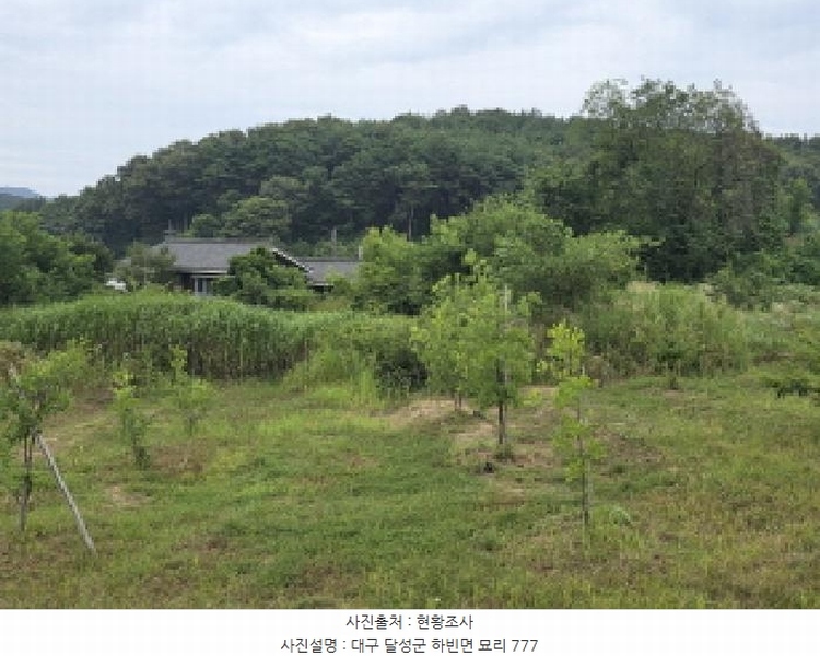 2025타경31322 대구광역시 달성군 하빈면 묘리 777 대지 경매 이미지