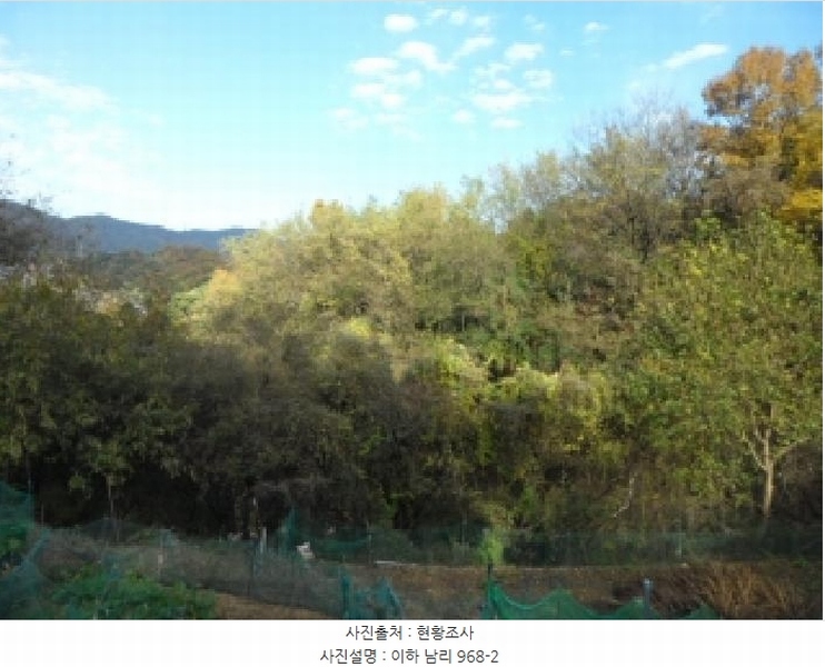 2025타경31954 대구광역시 달성군 논공읍 남리 968-2 농지 경매 이미지