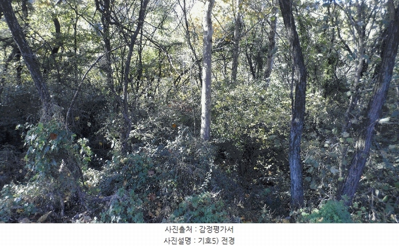 2025타경31954 대구광역시 달성군 논공읍 남리 968-2 농지 경매 이미지