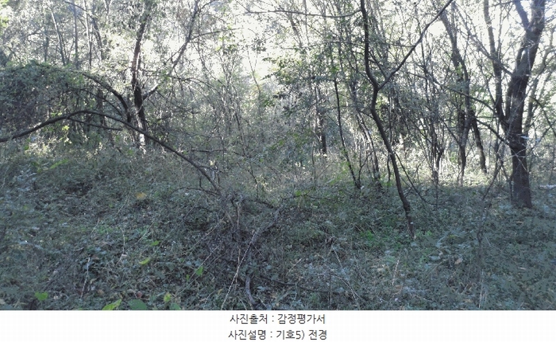 2025타경31954 대구광역시 달성군 논공읍 남리 968-2 농지 경매 이미지