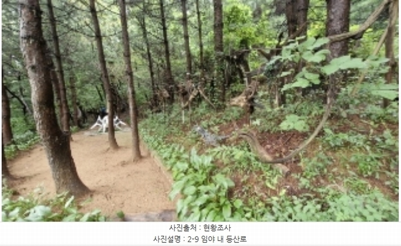 2024타경107598 경기도 군포시 산본동 산104-1 임야 경매 이미지