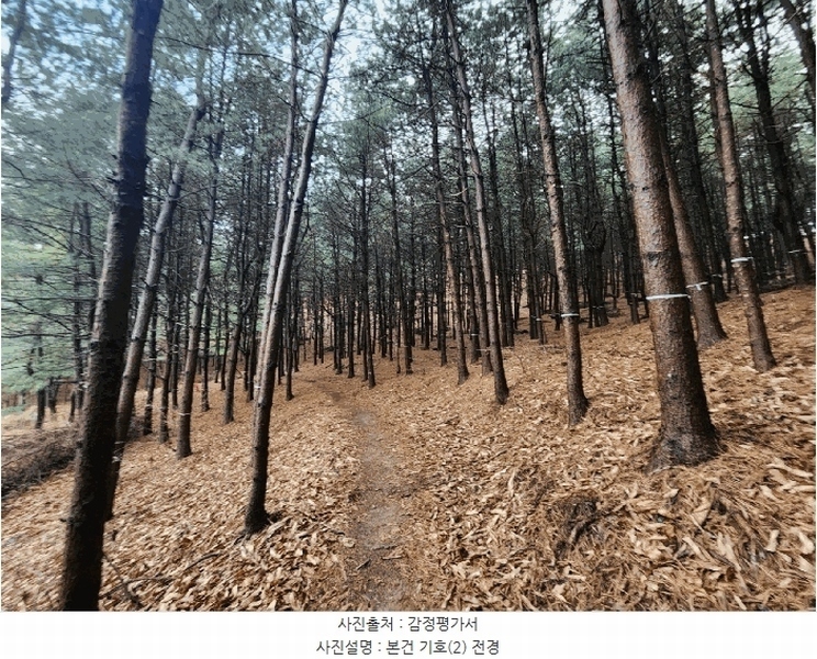 2024타경107598 경기도 군포시 산본동 산104-1 임야 경매 이미지