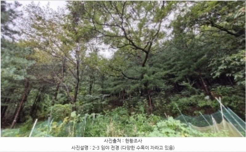 2024타경107598 경기도 군포시 산본동 산104-1 임야 경매 이미지