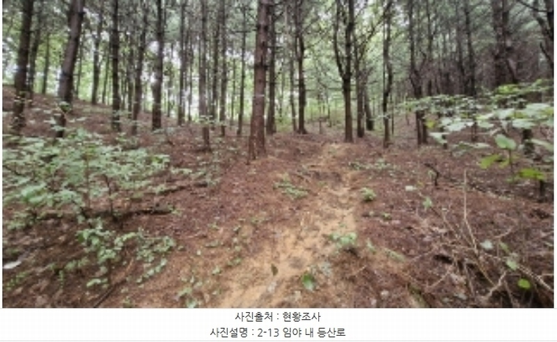 2024타경107598 경기도 군포시 산본동 산104-1 임야 경매 이미지