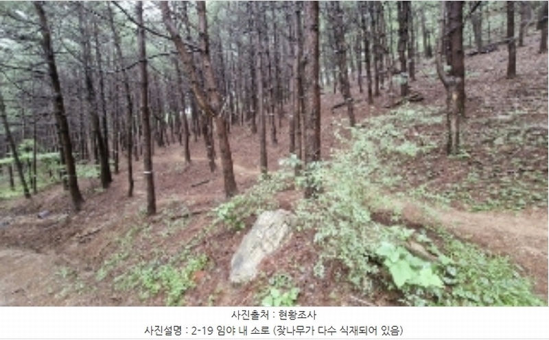2024타경107598 경기도 군포시 산본동 산104-1 임야 경매 이미지