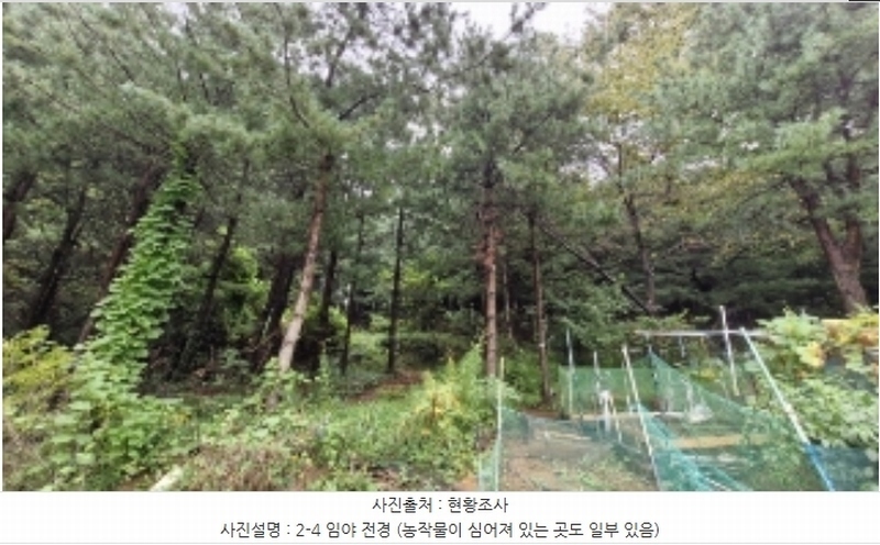 2024타경107598 경기도 군포시 산본동 산104-1 임야 경매 이미지