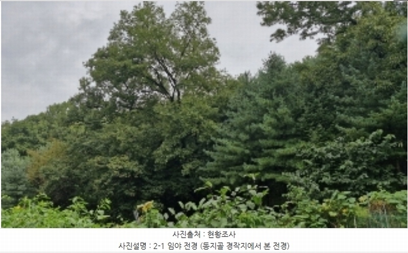 2024타경107598 경기도 군포시 산본동 산104-1 임야 경매 이미지