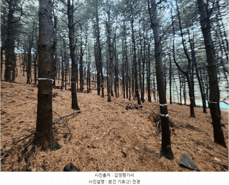 2024타경107598 경기도 군포시 산본동 산104-1 임야 경매 이미지