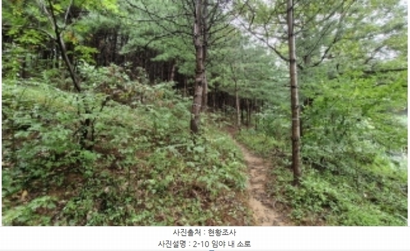 2024타경107598 경기도 군포시 산본동 산104-1 임야 경매 이미지