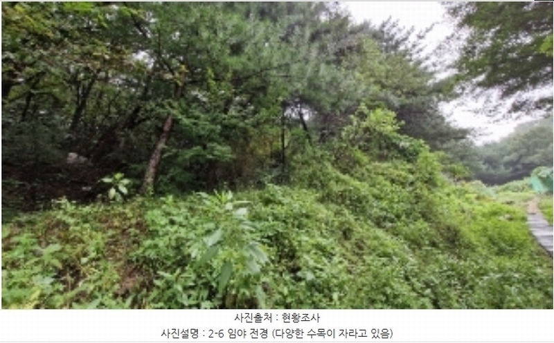 2024타경107598 경기도 군포시 산본동 산104-1 임야 경매 이미지