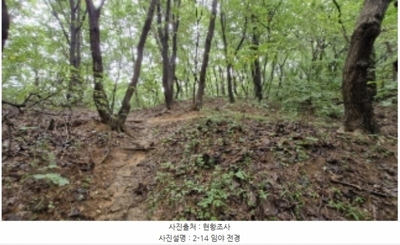 2024타경107598 경기도 군포시 산본동 산104-1 임야 경매 이미지